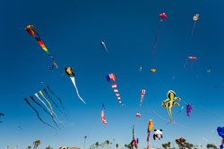 Festival-of-Kites