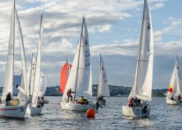 Sporting Events In Sydney Feb & Mar 2019