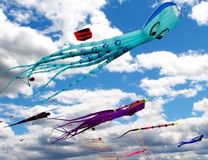 kites