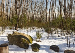 aUSTRALIAN SNOWFIELDS